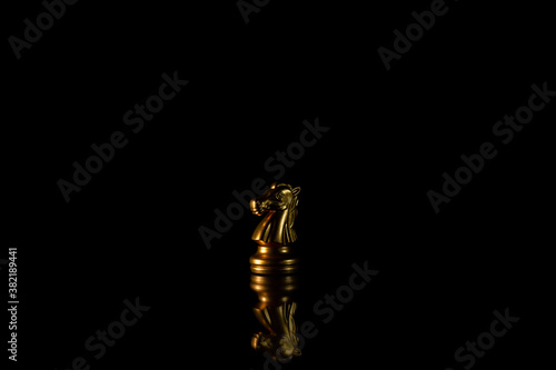 golden knight chess standing in the dark.