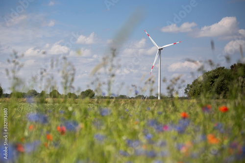 Windrad im Feld, ökostrom