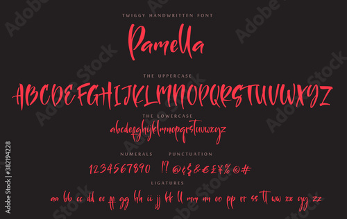 Handwritten script font sister Pamella vector alphabet set photo