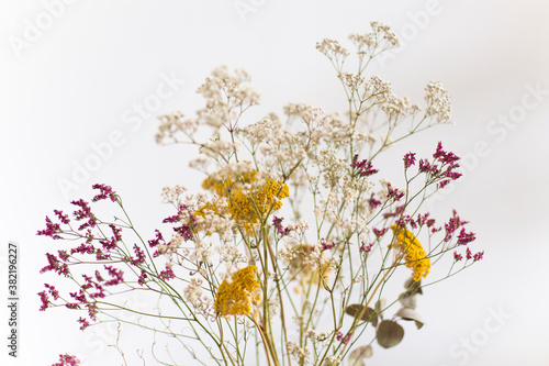 Trockenblumenstrauss vor weißem Hintergrund