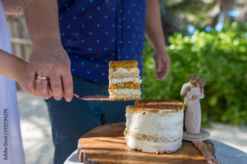 Obraz na plátně Close up view of bride and groom cutting naked wedding cake with white cream on