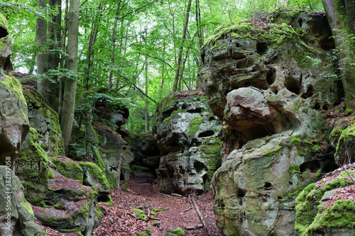 Felsenformation aus Sandstein im Bach in der Teufelsschlucht, Eifel