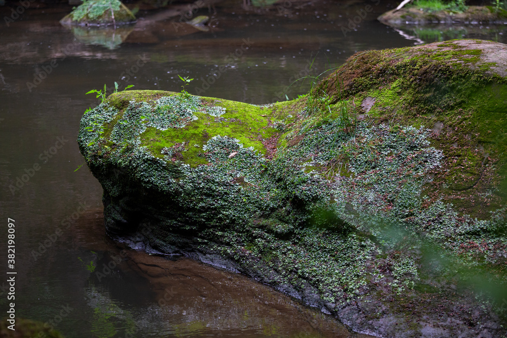 Felsenformation aus Sandstein im Bach in der Teufelsschlucht, Eifel Felsenformation aus Sandstein im Bach in der Teufelsschlucht, Eifel