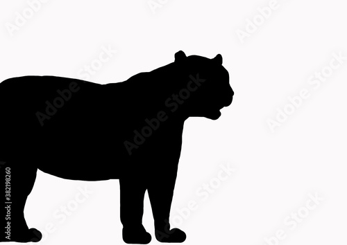 Fototapeta Naklejka Na Ścianę i Meble -  tigre force silhouette