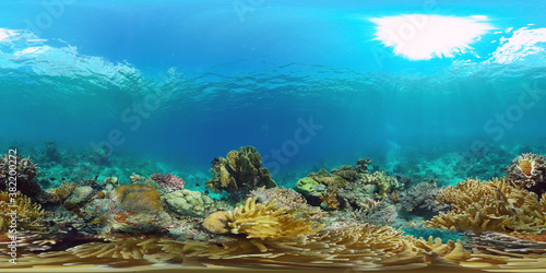 Underwater Scene Coral Reef 360VR. Tropical underwater sea fishes. Virtual tour 360. Panglao  Philippines.