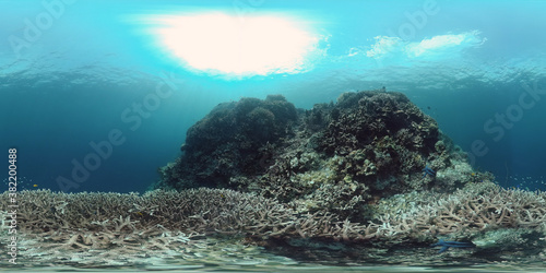 Tropical fishes and coral reef underwater. Hard and soft corals, underwater landscape. Travel vacation concept © Alex Traveler