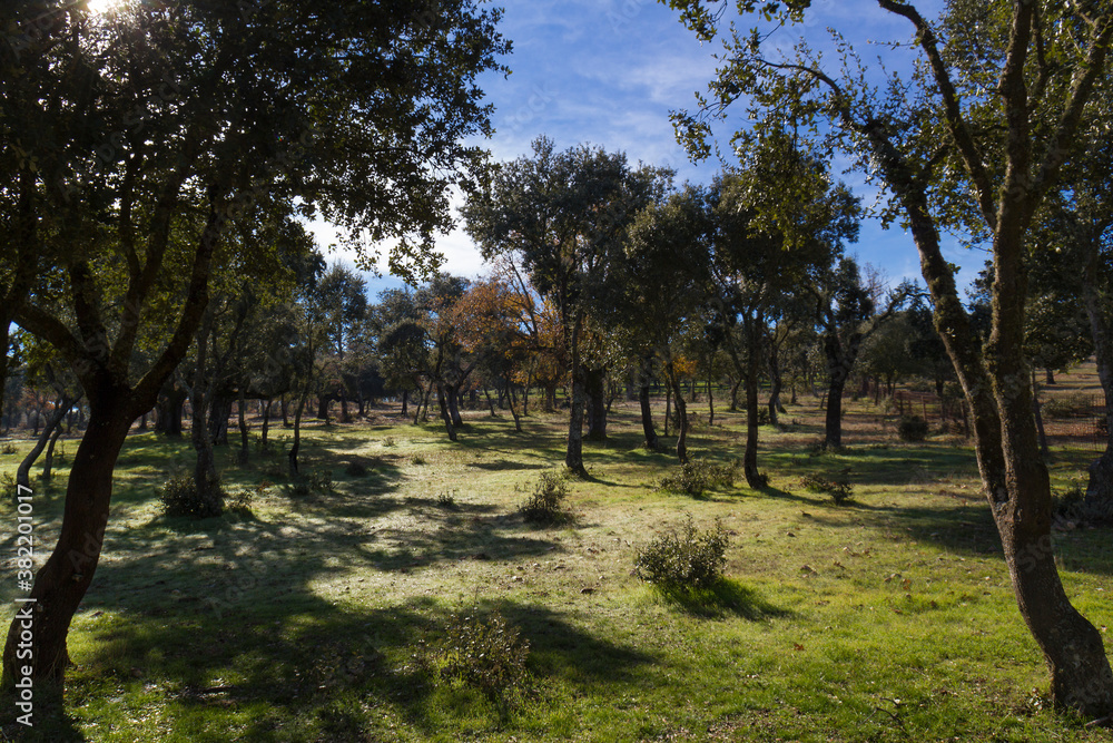 La Dehesa, Salamanca, Spain