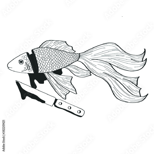 fish on a white background