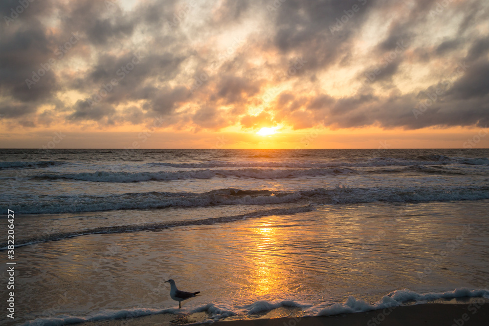 Early morning sunrise on the beach at St Augustine, Florida with waves and a seagull on the wet sand.