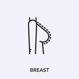breast icon vector sign symbol