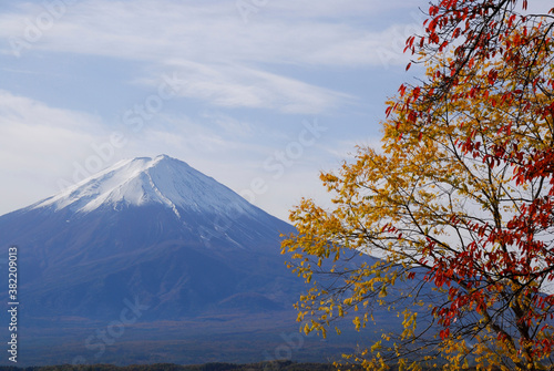 富士と紅葉