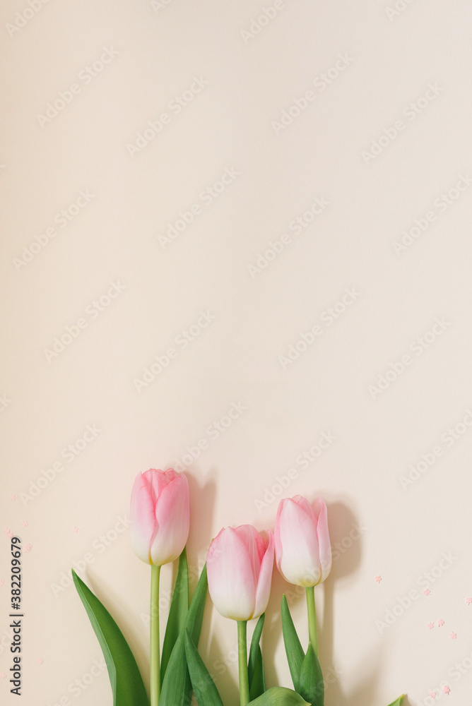 Pastel pink bouquet of Tulip flowers on a white background. Flat lay, top view. Minimal spring floral concept. Mother's day