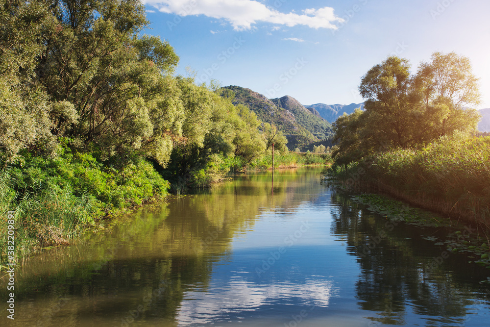 Beautiful sunny nature of the Balkan Peninsula - dense green vegetation - mountains and clear clear water in the sea and lakes - health resort Beautiful sunny nature of the Balkan Peninsula - dense green vegetation - mountains and clear clear water in the sea and lakes - health resort