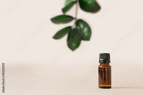 Vegetable cosmetics for body care in beauty salons. Bottle with aromatic natural oil on a beige background with green zamiokulkas leaves