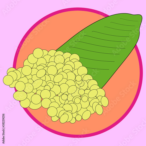 Finger Lime Caviar vector