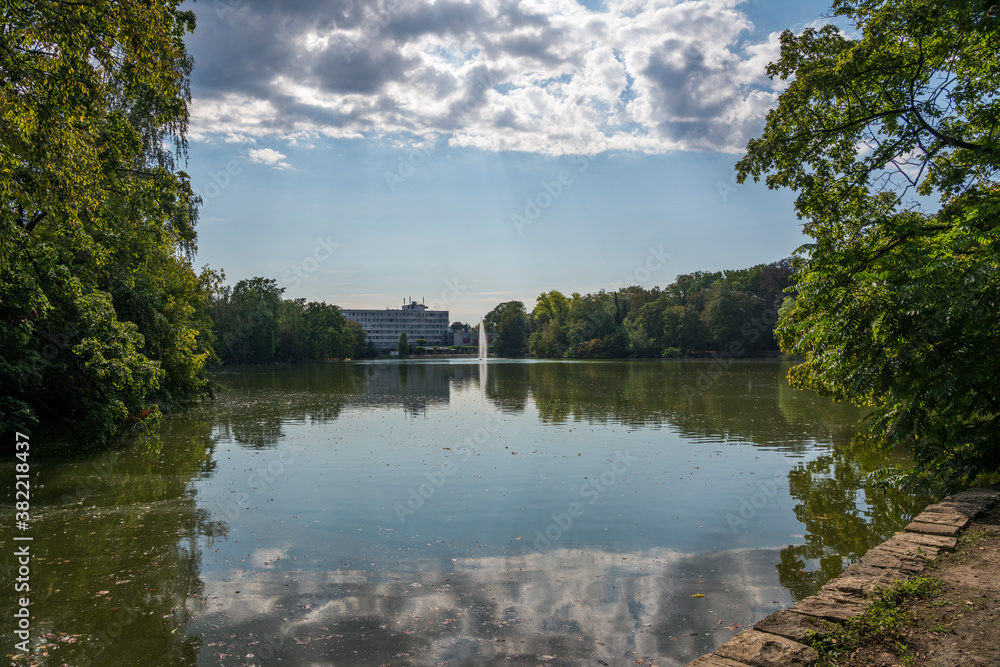 Fototapeta premium urban park in cologne city forest