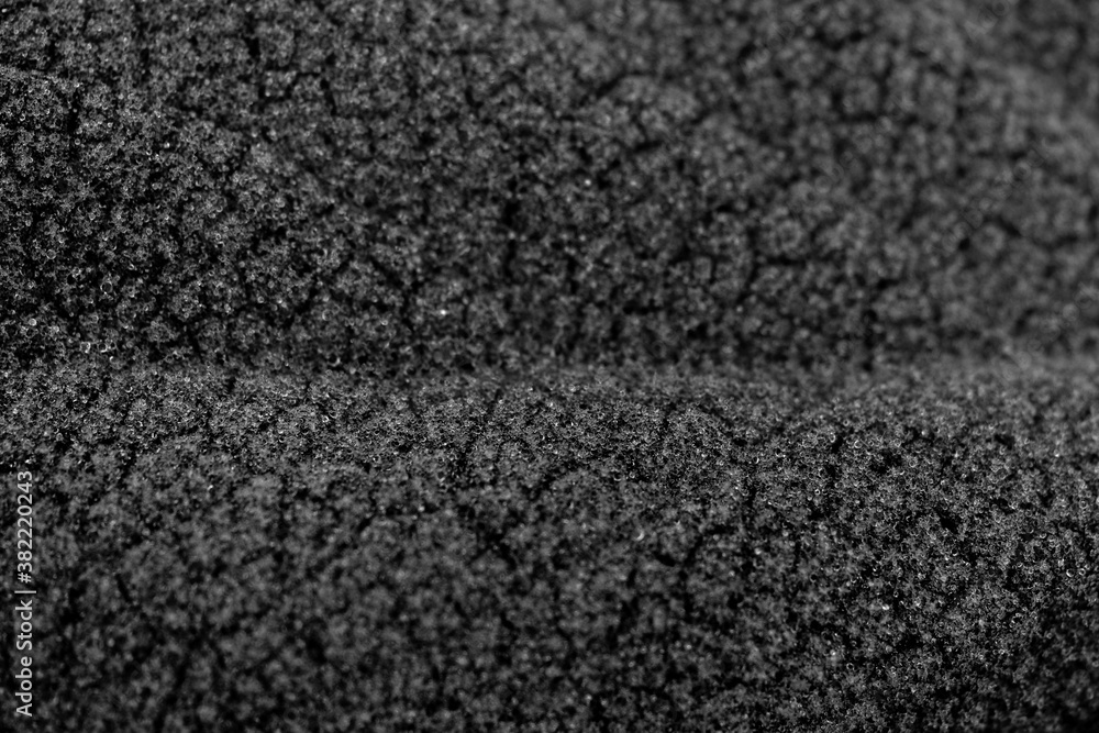 Fototapeta premium black and white fabric like textured plant abstract macro closeup