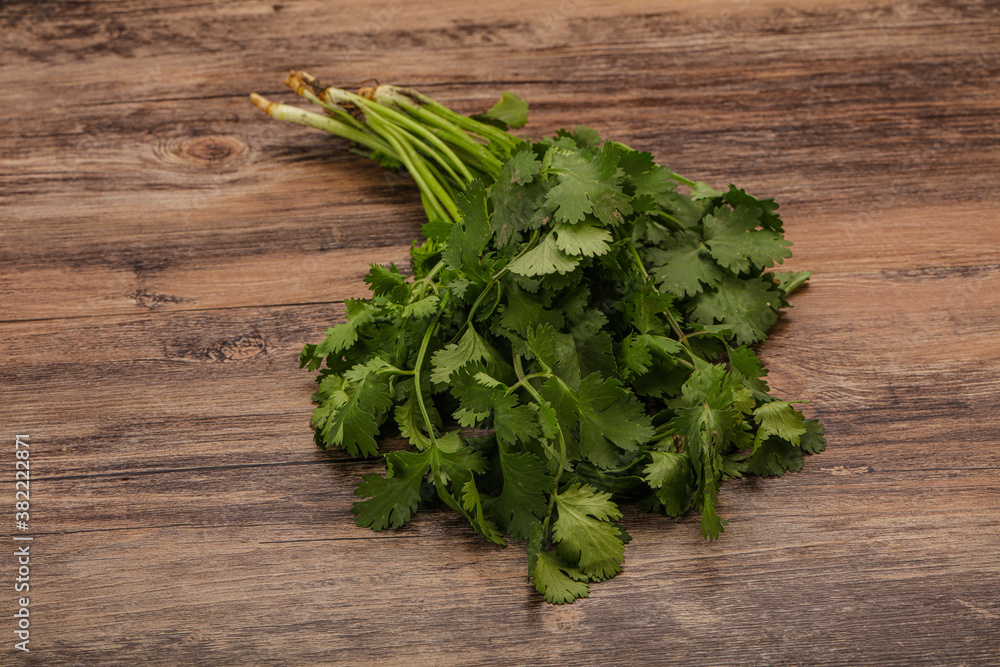 Green coriander or cilanto leaves heap