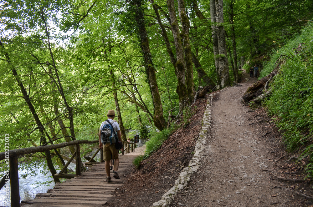 Obraz premium Plitvice Lakes National Park - Hike in The Trail Around The Lakes 