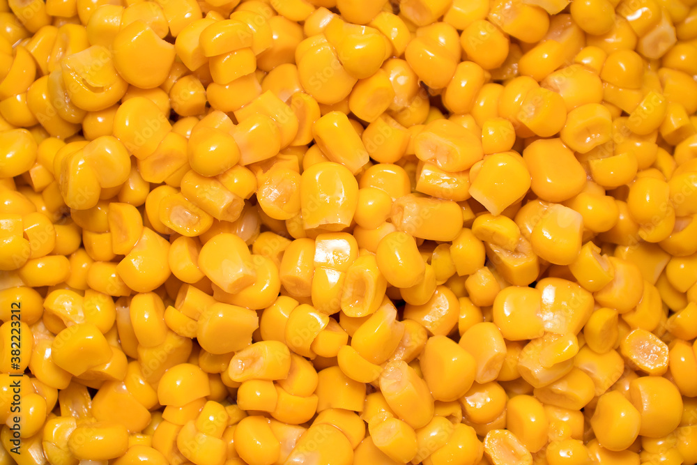 Closeup of lots of cooked corn kernels, close up of canned bio corn grain top view. Closeup of lots of cooked corn kernels, close up of canned bio corn grain top view.