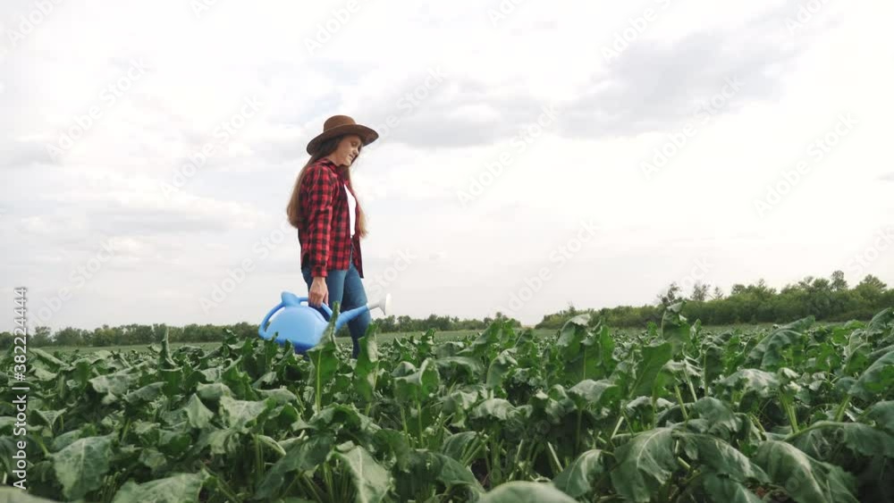 girl farmer with a watering can walking on a green field of harvest in the garden. agribusiness agriculture farming concept. farmer girl study the harvest of green plants in lifestyle the field girl farmer with a watering can walking on a green field of harvest in the garden. agribusiness agriculture farming concept. farmer girl study the harvest of green plants in lifestyle the field