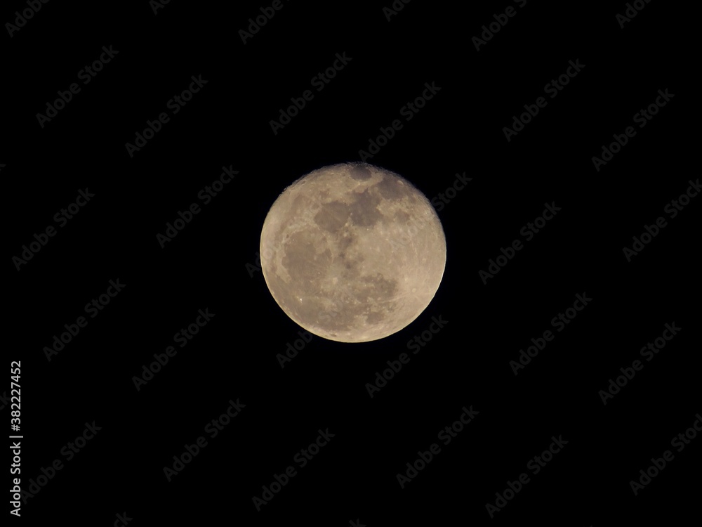 Fototapeta premium full moon in the night