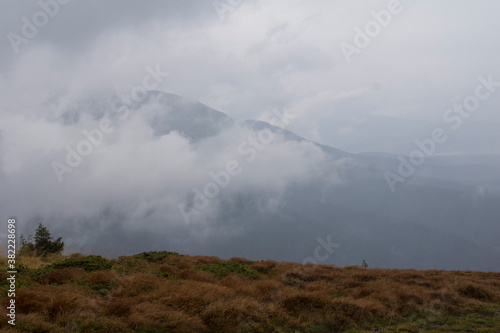 Mountain landscape and green meadow