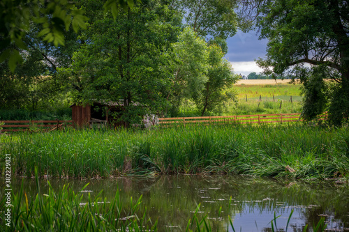Pond at Tercino valley, Czech republic