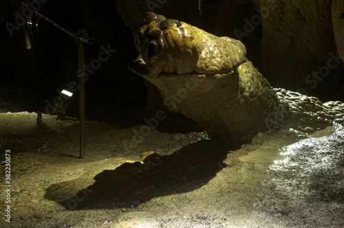 "Crocodile" formation in the Hoellgrotten Caves in Baar, Switzerland