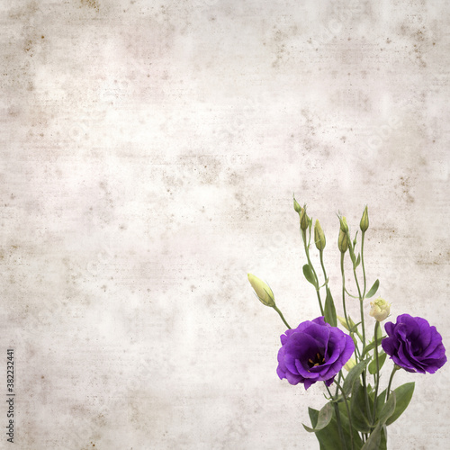 Fototapeta Naklejka Na Ścianę i Meble -  textured stylish old paper background with dark violet eustoma flowers and buds