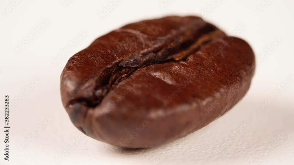 Macro view of single coffee bean. Macro view of single coffee bean.