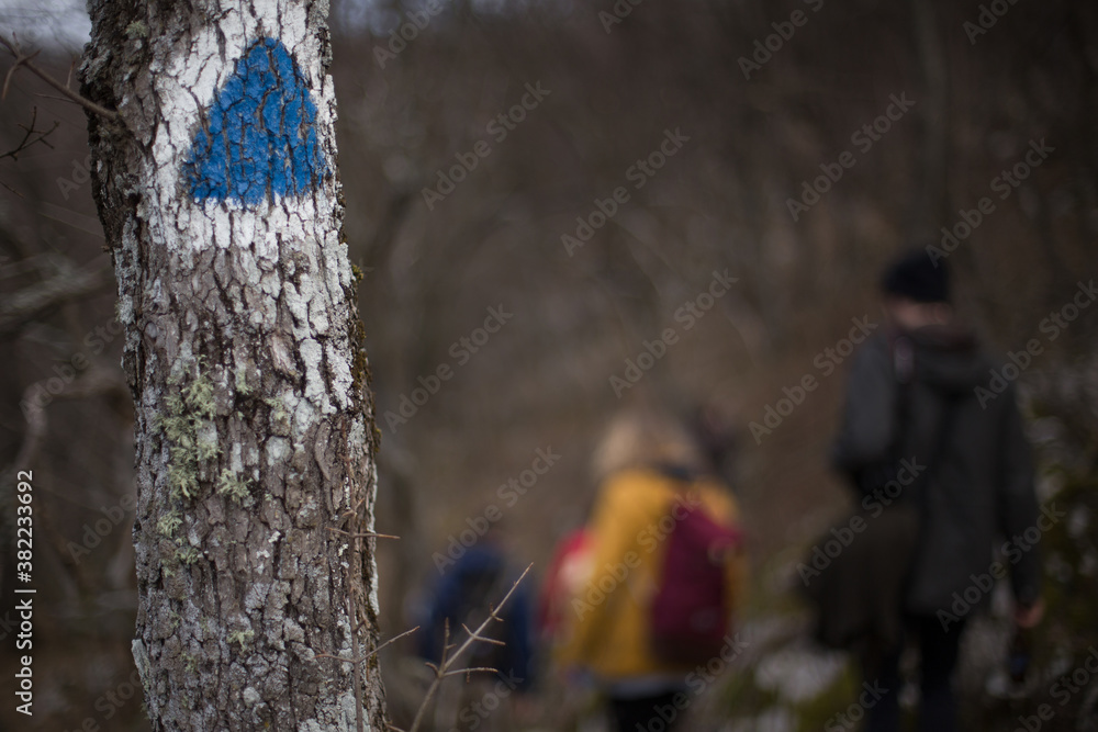 Roadtrip durch Rumänien, vier Personen wandern durch ein Waldstück, Winter