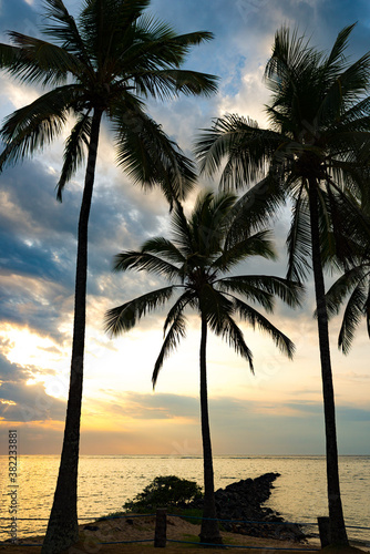 Sunrise at Itaparica Beach on the Brazilian coast  Bahia. Wooded beach with coconut trees and blue sea.