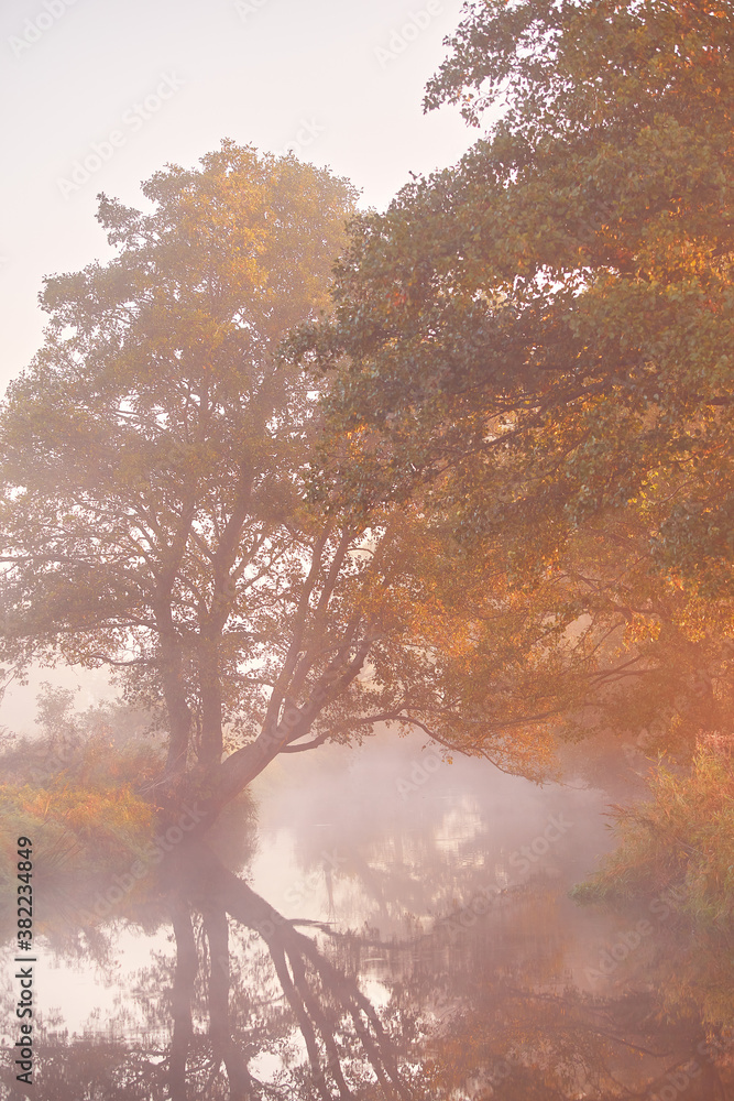 Fog on river. October fall calm morning misty scene
