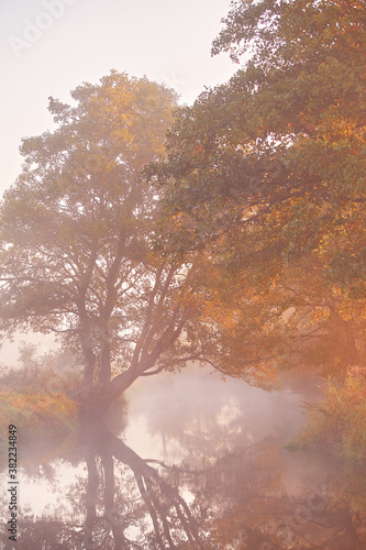 Obraz na płótnie Fog on river. October fall calm morning misty scene w salonie