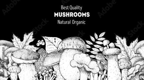 Edible mushrooms hand drawn. Autumn design. Vector illustrations collection. Hand drawn food. Sketch mushrooms. Organic food. Forest mushrooms. Engraved design.