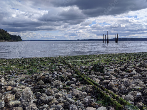 Joemma Beach State Park in Longbranch, WA, on a bright sunny day photo