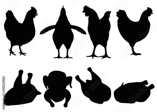 Chicken and chicken carcasses in the set. Vector image.