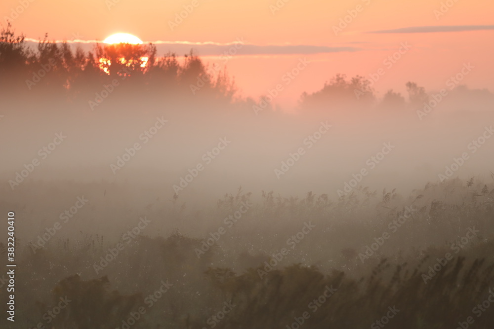 Fototapeta premium morning with fog