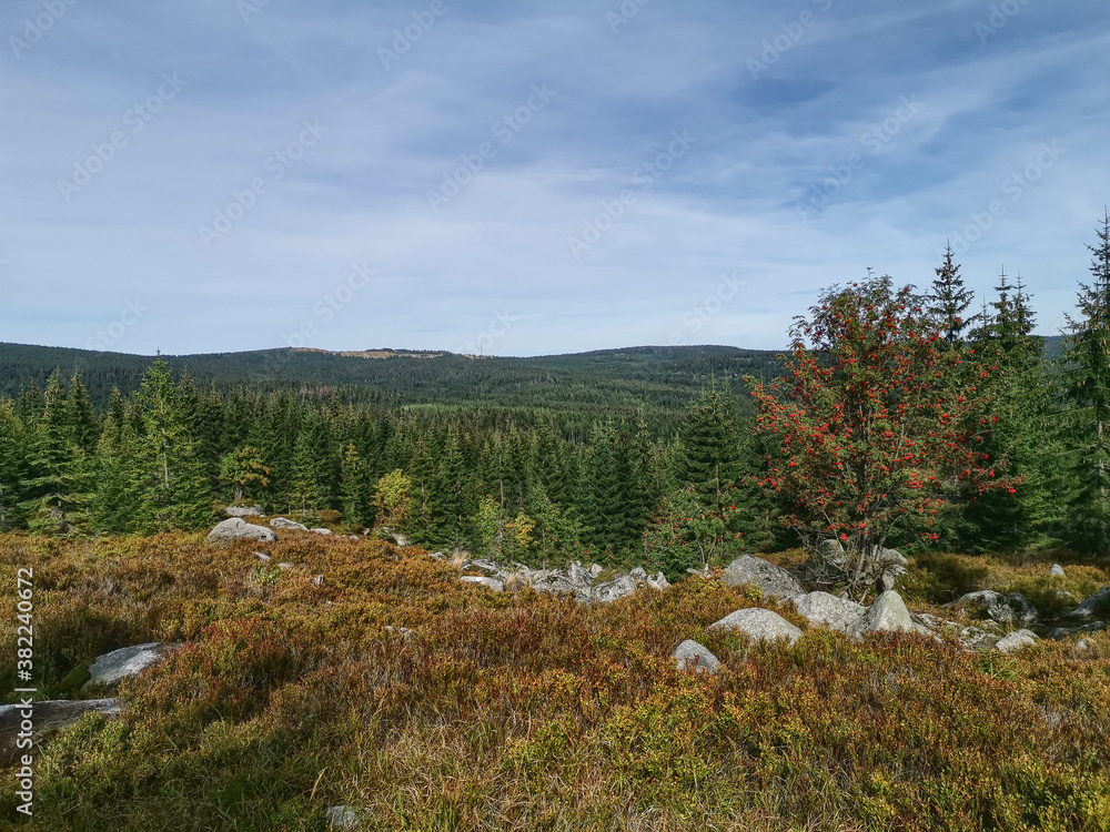 Obraz premium View of the Jizera Mountains - Sudetes Mountains - Poland 