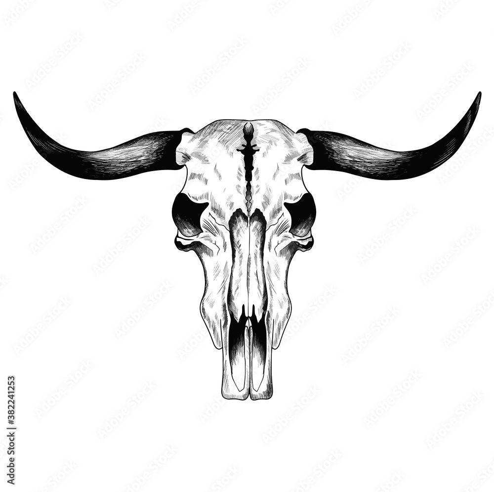 Buffalo skull with horns- hand drawn. Vector illustration on white  background. For cards, posters, decor, t shirt design, logo tattoo  illustration. Stock Vector | Adobe Stock