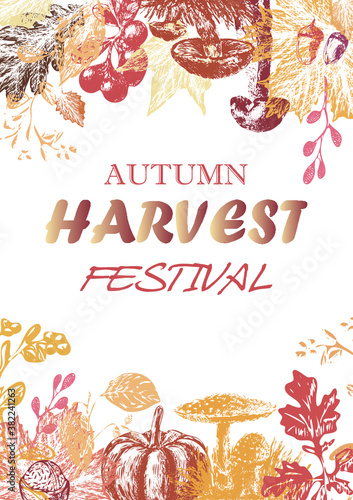 Autumn harvest festival poster with harvest symbols and leaves in fall colors .Harvest fest design for prints, flyers, banners and invitations. Vector autumn illustration.