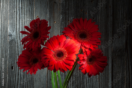 Five Shinny Red Gerbera Flowers