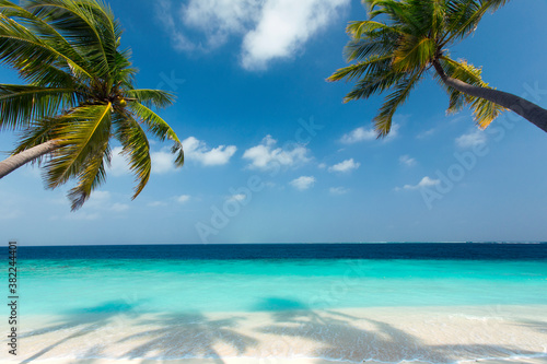 Tropical beach and palm trees, The Maldives, Indian Ocean photo