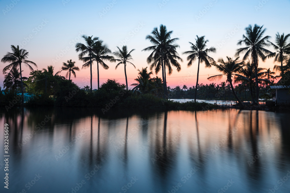 Palm trees reflecting in backwaters, Munroe Island, Kollam, Kerala, India Palm trees reflecting in backwaters, Munroe Island, Kollam, Kerala, India