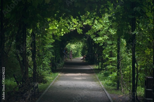 alley in the park