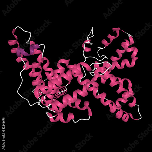 Bild auf Leinwand Tertiary structure of human vitamin D binding protein with the differently color