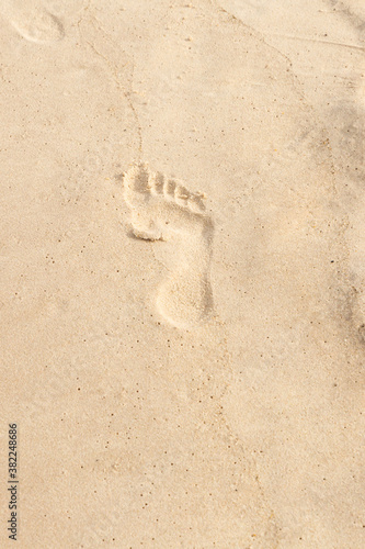 footprint on the yellow sand of a man   s foot  a path in the dunes