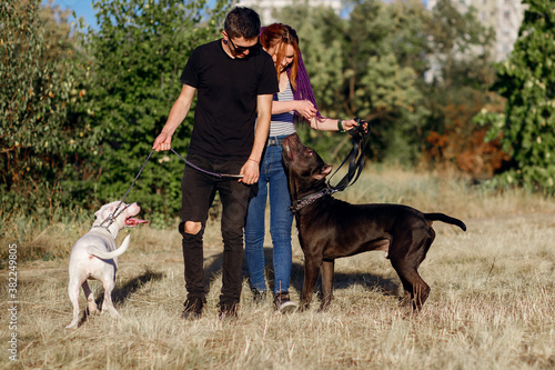 young couple man and woman walk with their dogs in the park © halcon1