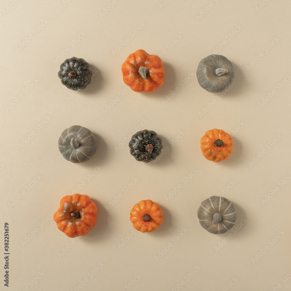 Autumn pumkins flat lay background. Minimal seasonal creative concept. Autumn pumkins flat lay background. Minimal seasonal creative concept.